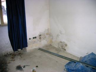 Nanocement Trockenlegung und Sanierung - Jugendstiel Wohnhaus 1170 Wien - Hernals