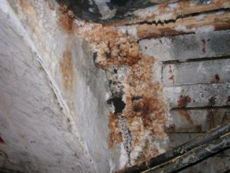 Nanocement Trockenlegung und Abdichtung, Bergbau Bochnia